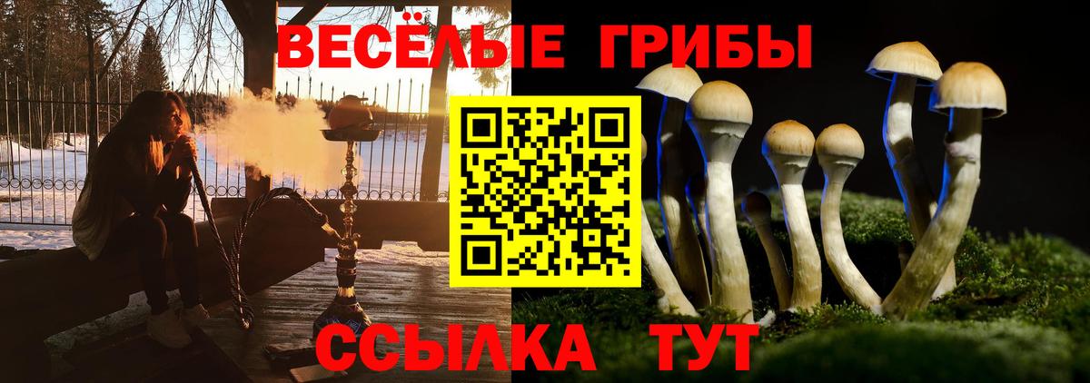 Галлюциногенные грибы MAGIC MUSHROOMS Саров